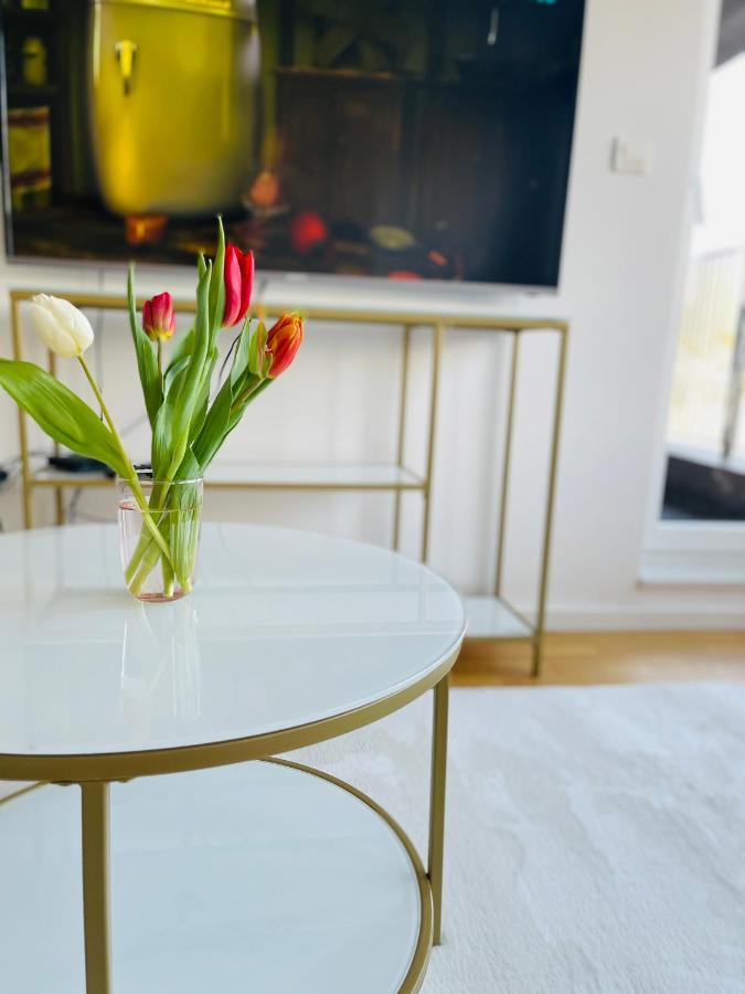 Moderan Apartman I Sigurna Besplatna Garaza Apartment