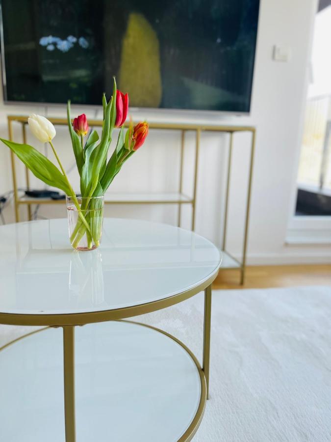 Moderan Apartman I Sigurna Besplatna Garaza Apartment Sarajevo