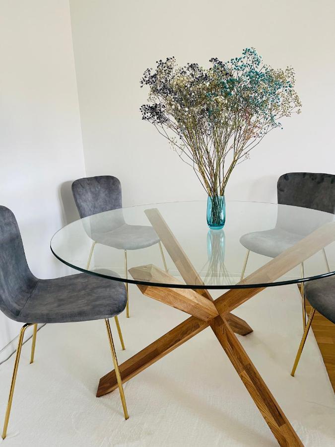 Moderan Apartman I Sigurna Besplatna Garaza Apartment