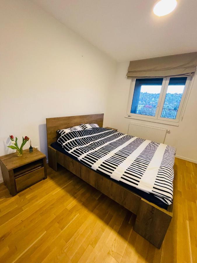 Moderan Apartman I Sigurna Besplatna Garaza Apartment