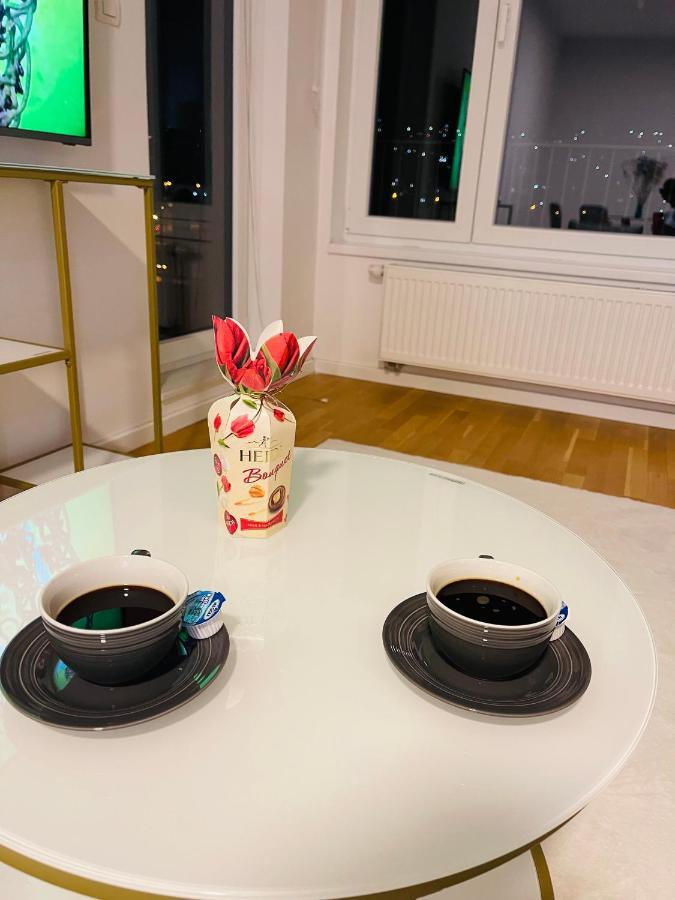 Moderan Apartman I Sigurna Besplatna Garaza Apartment